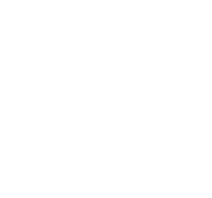 Generator-Icon