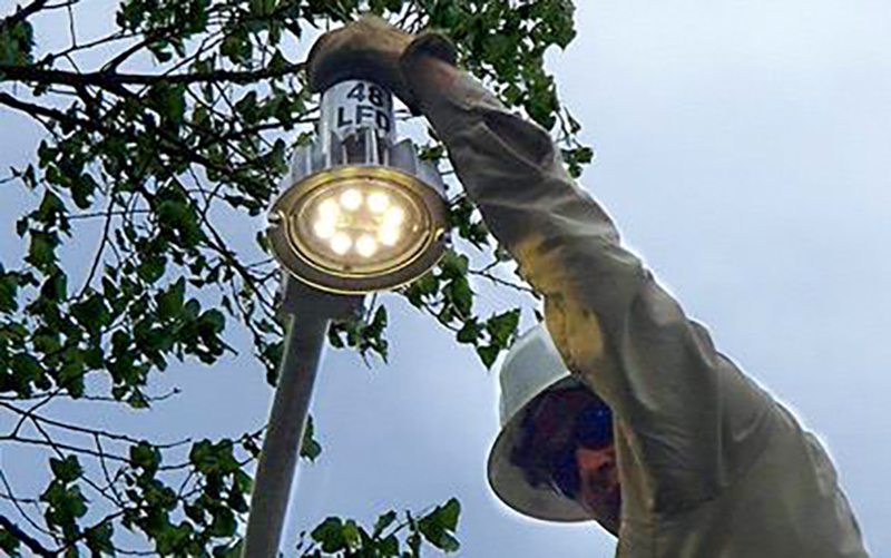 Yard-Lighting-Installation-Services-2